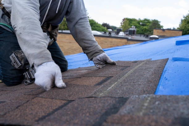 Best Storm Damage Roof Repair  in Tylertown, MS